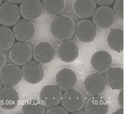 甲苯磺酰基磁珠 供應信息 食品科技網